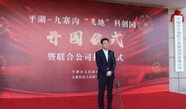 平湖最新爆料新闻,重大事件背后真相揭晓！